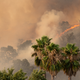 Illustration for article titled How to Help Those Impacted by the Northern California Wildfires